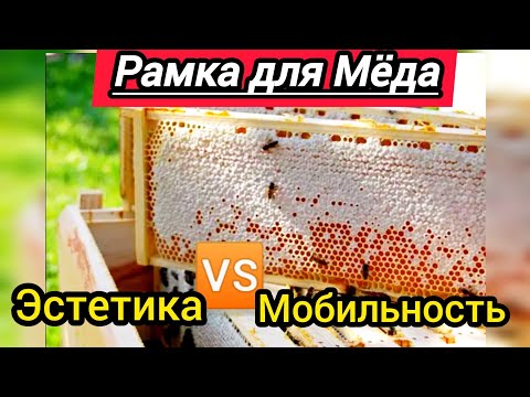 Почему я использую 145 рамку для Мëда, без разделителя-Гофмана? Эстетика или Мобильность?