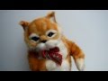 Dancing cat ダンシングキャット 猫田係長