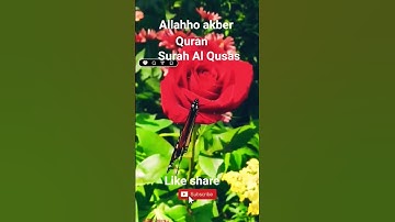 #القران_الكريم #تلاوه_خاشعه #قال رب انیی ظلمت نفسی #اكسبلور #الشيخ محمود الشحات #foryou