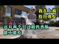 【eng sub】在上海捡垃圾吃，垃圾桶里捡到一袋食物，看哪个可以吃？#捡垃圾 #上海
