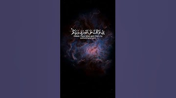 سورة هود الأية ٥٦  القارئ : ياسر الدوسري