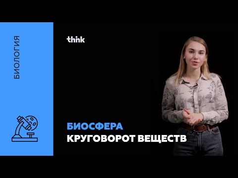 Биосфера. Круговорот веществ | Биология