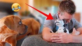 Hugging a Robot Dog Too Long | Jealous Dog Reaction