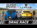 Lamborghini Urus vs 770HP Shelby F-150 Super Snake Sport // DRAG & ROLL RACE