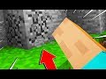 NON DOVEVO ROMPERE QUESTO BLOCCO! - Minecraft ITA 1.14