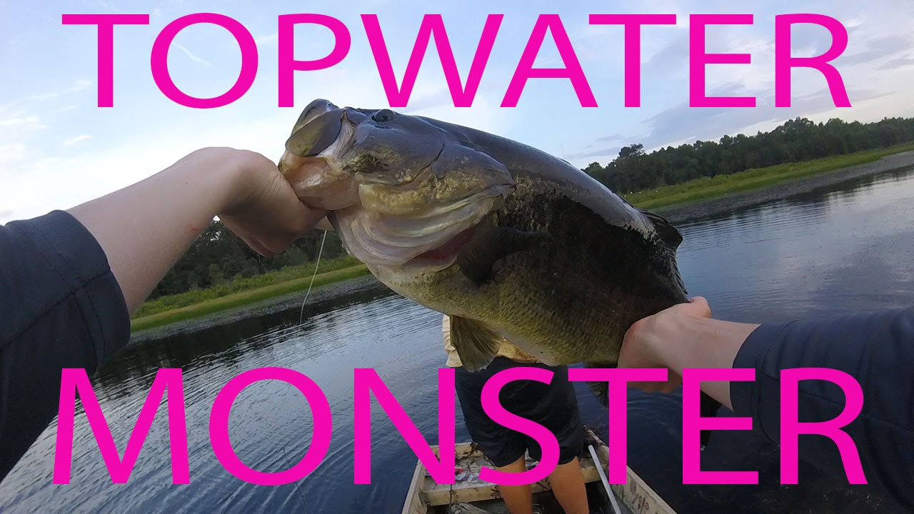 Watch 9lb 14oz Topwater Bass Video on