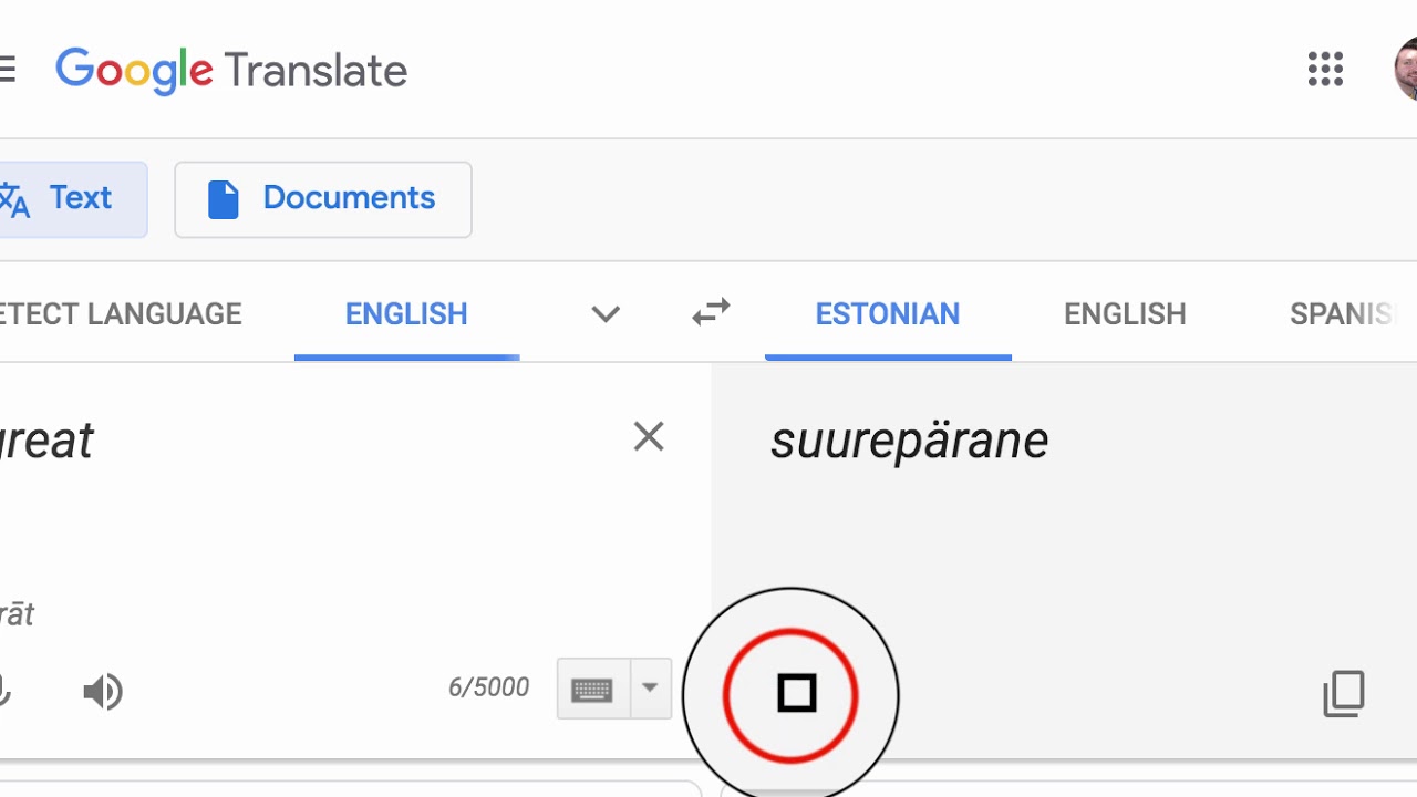 Don't Speak the Language? How to Use Google Translate as Your