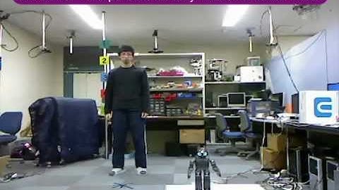 Full-Body Imitation of Human Motions with Kinect and DARwIn-OP