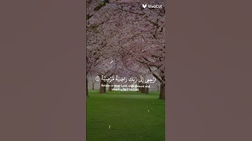 # القرآن الكريم # أكتب أسم من أسماء الله الحسنى في التعليقات  # ❤👂❤💥❤👂❤💥❤