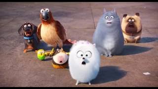 Тайная жизнь домашних животных Мультики The Secret Life of Pets Кролик Снежок Тайная жизнь домашних животных Мультики The Secret Life of Pets Кролик Снежок