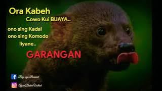 Garangan story wan| definisi garangan