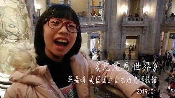美国国立自然历史博物馆 Youtube