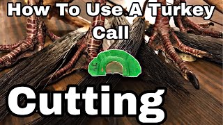 How To Use A Turkey Call : Cutting
