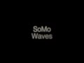 Mr. Probz - Waves (Rendition) by SoMo