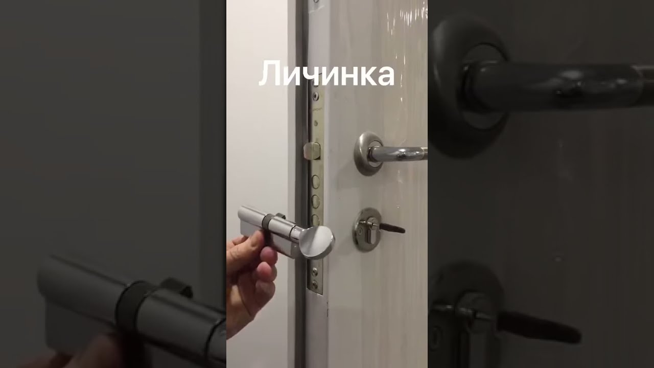Дверь От Застройщика Купить Москва