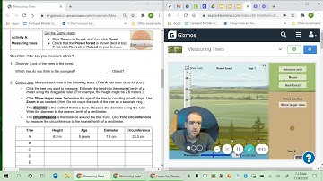 Video Measuring Trees Gizmo