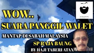 Suara Panggil Walet yang sudah teruji Mantap//SP RAJA BAUNG BY HAJI TABERI ATAX(INDONESIA)