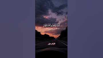 سورة الحج| تلاوة هادئة بصوت عبدالرحمن مسعد ❤️