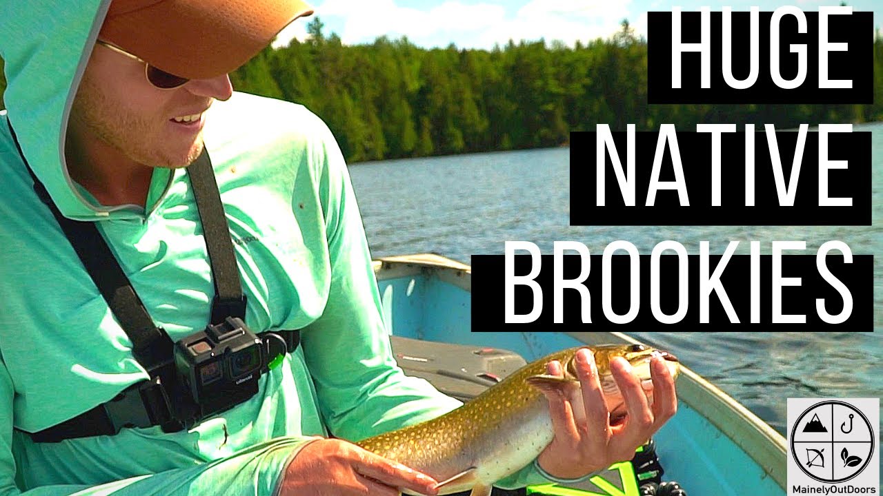 FLY-IN Fishing for Monster Maine Native Brook Trout! (New PB!!)