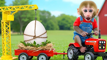 Monkey Nana Drives a tractor and embarks on an unexpected adventure discovering a giant egg