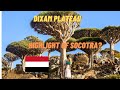 Dixam Plateau. Socotra tour in 4K. Paradise island off the coast of Yemen.