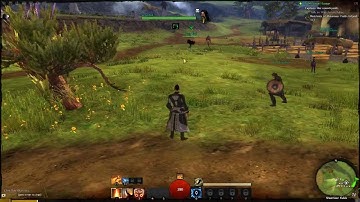 Guild Wars 2 Beta - Elementalist and Early Game Features - Part 2