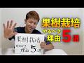 【必見】果樹栽培やるべき理由5選【今年は育ててみませんか!?】