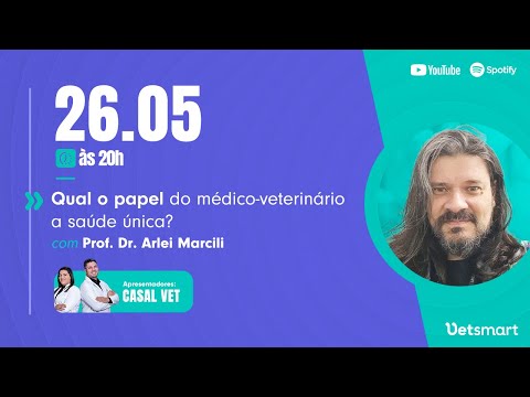 Vídeo: O que é um veterinário holístico e você deve agendar uma consulta?