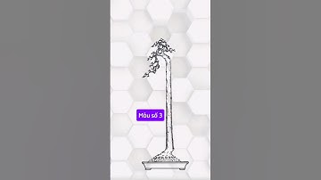 9 Dáng Văn Nhân Demo Cho Ace Tham Khảo #dammecaycanh #bonsai