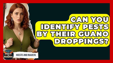 Can You Identify Pests By Their Guano Droppings? - Insects and Invaders