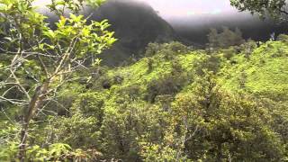 Iao Ridge Trail 3