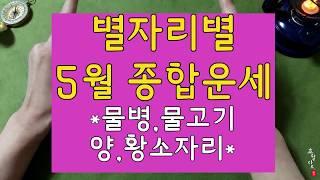 [5월 별자리별 타로운세]#물병#물고기#양#황소자리 tarot card