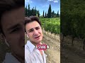 Dove preferisci lavorare in città o campagna?!?! #agricoltura #toscana #farming #agriculture #vigna