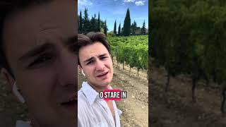 Dove preferisci lavorare in città o campagna?!?! #agricoltura #toscana #farming #agriculture #vigna