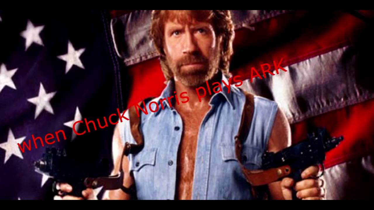 Chuck Norris Ark... 