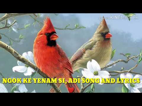 NGOK KE YENAM SI ADI SONG AND LYRICS 