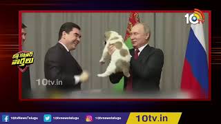 Turkmenistan President Unveils Giant Golden Statue of his Favourite Dog Breed | Katti Katar Varthalu