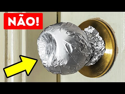 Vídeo: Isso não é truque! Filhotes de abóbora adoráveis à procura de uma boa casa!