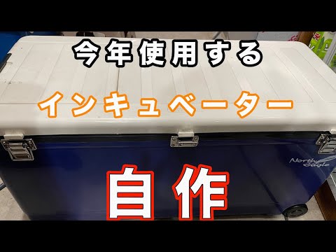 今季使用するインキュベーターを自作してみた