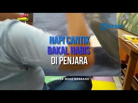 Napi Cantik, Kulit Putih, Bakal Habis di Penjara Dikerjai Senior, Termasuk Dikerjai Soal Seks