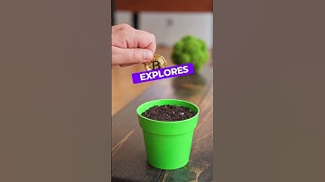 BLOCKCHAIN REVOLUTION