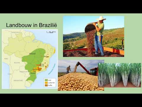 Video: Brazilië: industrie en landbouw