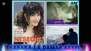 Neşecik - Sevdiğim - 