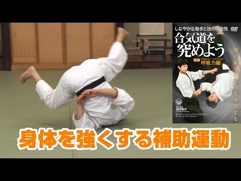 DVD Volume 2 - Beautiful & Amazing Aikido Part2 - Shirakawa Ryuji shihan
