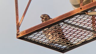 BZ 8.10.2026 P2 and BR Morning Together at the Gardens