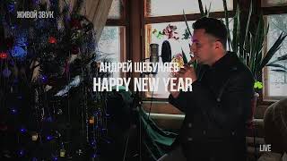Живое исполнение песни у камина Андрей Щебуняев   Happy new year из репертуара группы abba