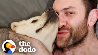 Guy Rescues Lab Puppy In The Middle Of The Night | The Dodo by The Dodo 9 days ago 3 minutes, 12 seconds 592,043 views