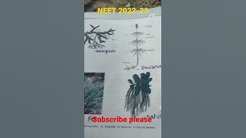pteridophytes #cbseboard #neet2022 #subscribe #fern#selaginella#equisetum#salvinia#ncertsolution