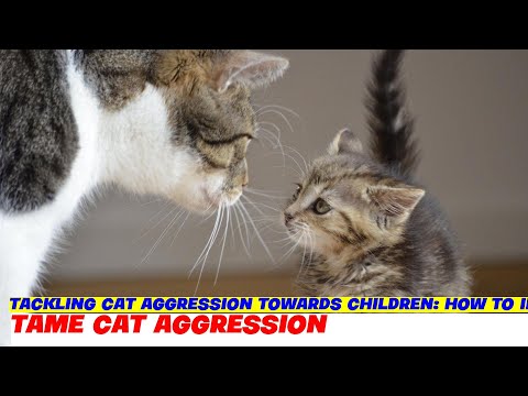Tackling Cat Aggression Towards Children: How to Identify and Address It