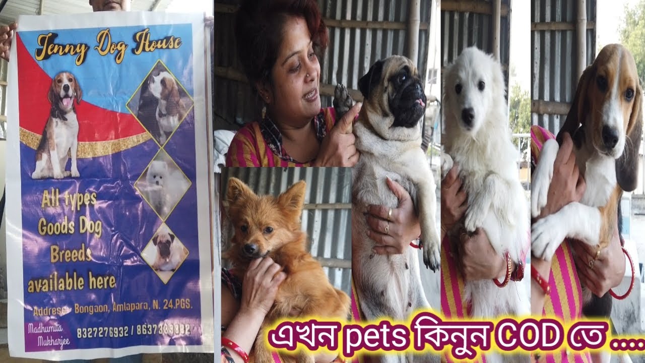 Best Pet Shop in Bangaon .......